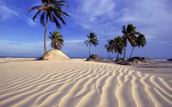 Mangue Seco
